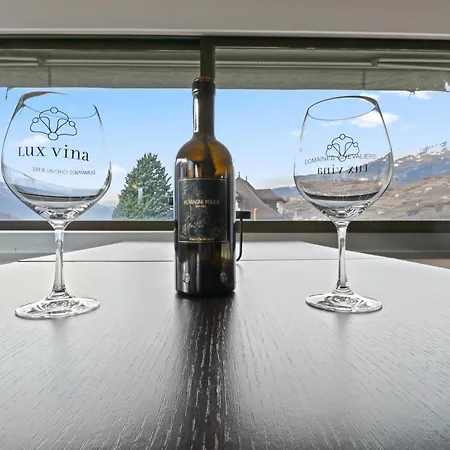 Au Coeur Du Vignoble Daire