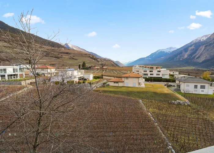 Au Coeur Du Vignoble *